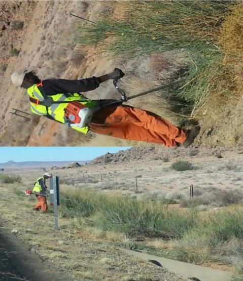 Brush cutting