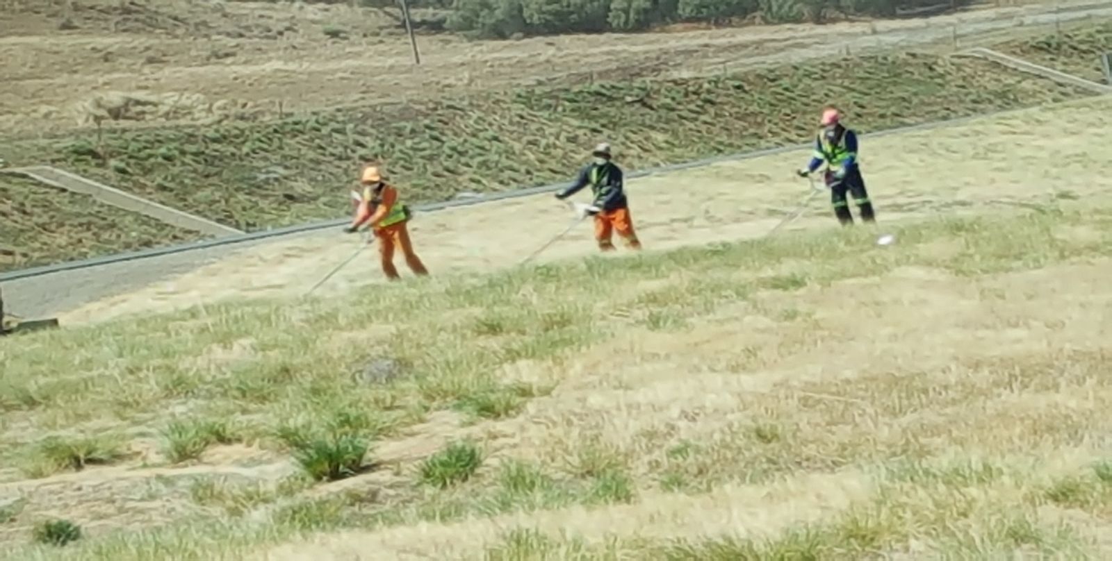 Route maintenance crew cutting vegetation